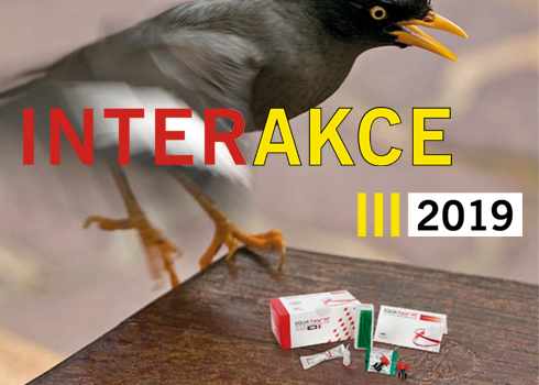 Interakce 2019 - Interdent